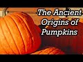 The Surprising History of Pumpkins