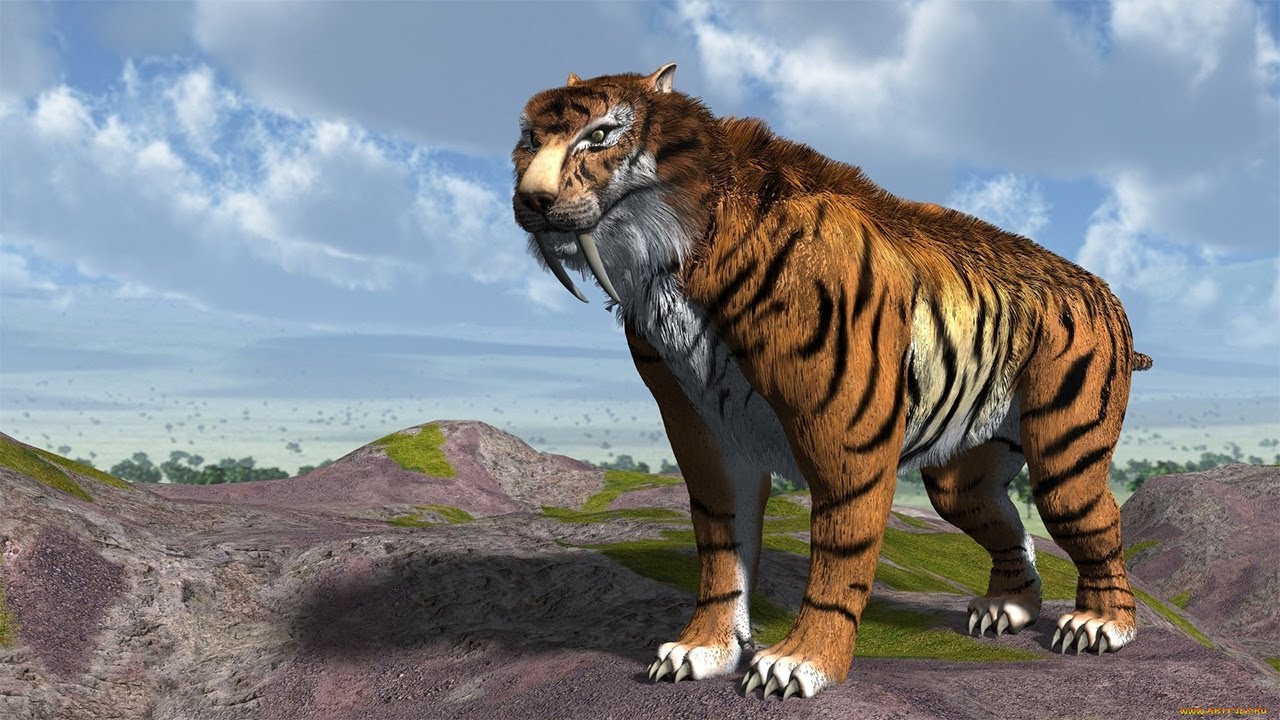 Саблезубая кошка