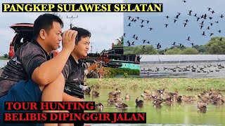 AMAZING…!!!!! PERTAMA KALI KETEMU BELIBIS RATUSAN EKOR DI PINGGIR JALAN