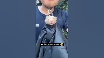 Mujhe Hurt Ho Raha Bigg Boss..🤣#ytshorts #trendingonshorts #funnyshorts #comedyvideo