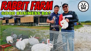 RABBIT FARMING | EXPERT ADVICE FROM MANAGER OF BARBITSON HEARTY MEATS