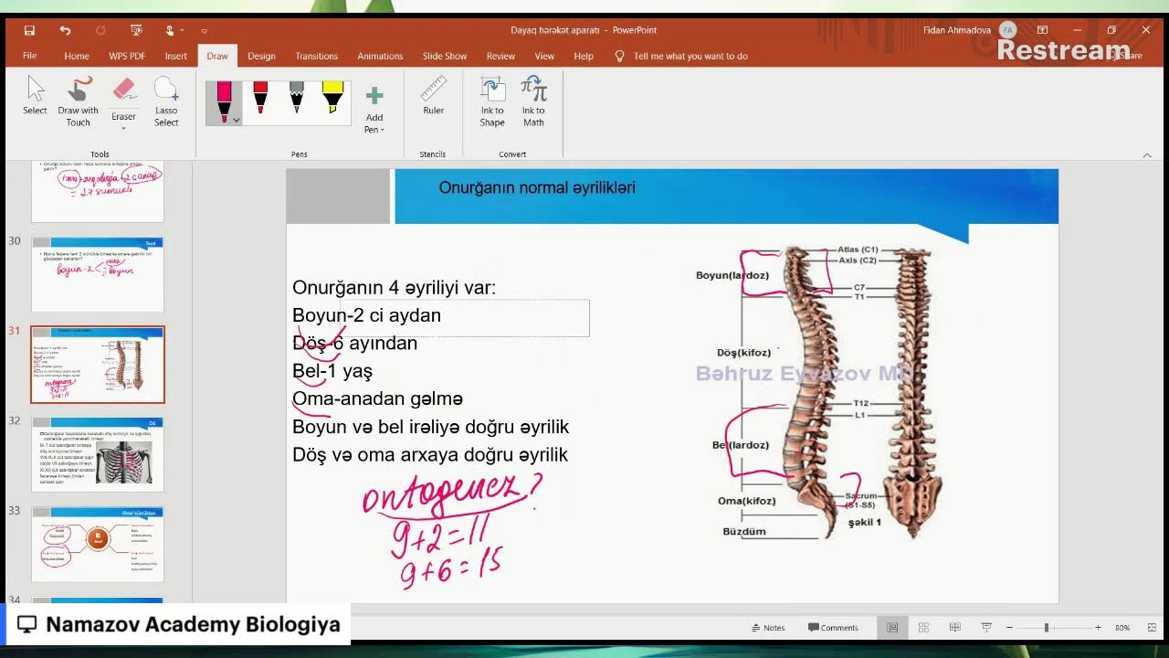 İnsanın dayaq hərəkət aparatı   Təlimçi Əhmədova Fidan Əlaqə:0515809428
