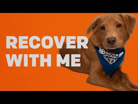 Recover with Me | Puppy Bowl Yappy Hours