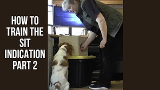 How to Train Your Dog to Sit like Dave Kroyer | Hunter's Heart Scent Dog Training by Hunters Heart 1,490 views 6 years ago 3 minutes, 36 seconds