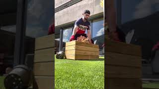 Vegetta777 Se Daña La Espalda