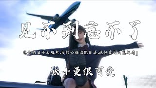 张小曼很可爱 - 见不到忘不了 (抖音热播版)『想你的日子太难熬，我的心痛谁能知道，说好爱到天荒地老，最后路归路桥归桥』【高音質 动态歌词MV/PinyinLyrics】