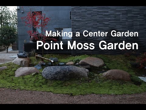 'Little Water Sound' Making a Point Moss Garden |작은 물 소리가 나는 개인주택 이끼 정원 만들기 | 드라이가든 Dry Garden