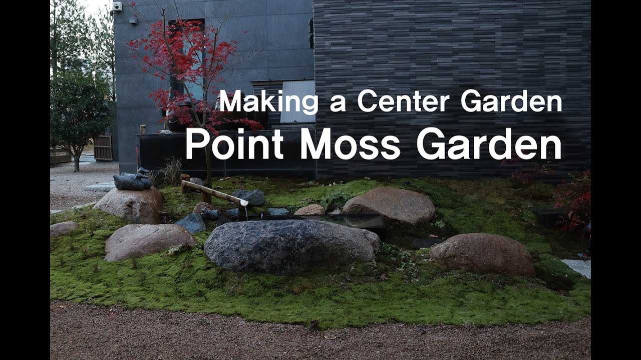 'Little Water Sound' Making a Point Moss Garden |작은 물 소리가 나는 개인주택 이끼 정원 만들기 | 드라이가든 Dry Garden