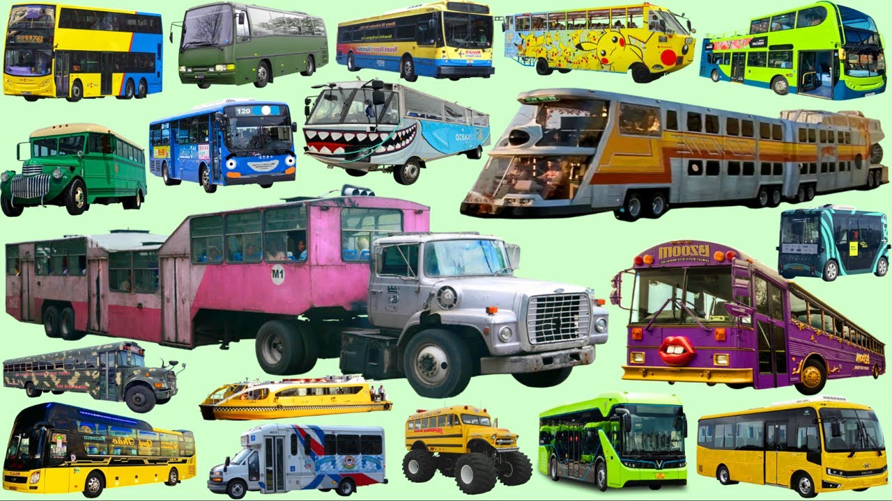 БОЛЬШОЙ АВТОБУС - КОЛЛЕКЦИЯ НАЗВАНИЙ АВТОБУСОВ - Коллекция типов автобусов - Школьный автобус, Го...