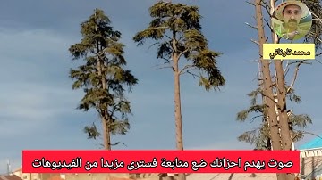 #صوت_يهدم_احزانك اللهم اجعل القران الكريم ربيع قلوبنا ونور صدورنا أمين يارب العالمين 🤲🤲