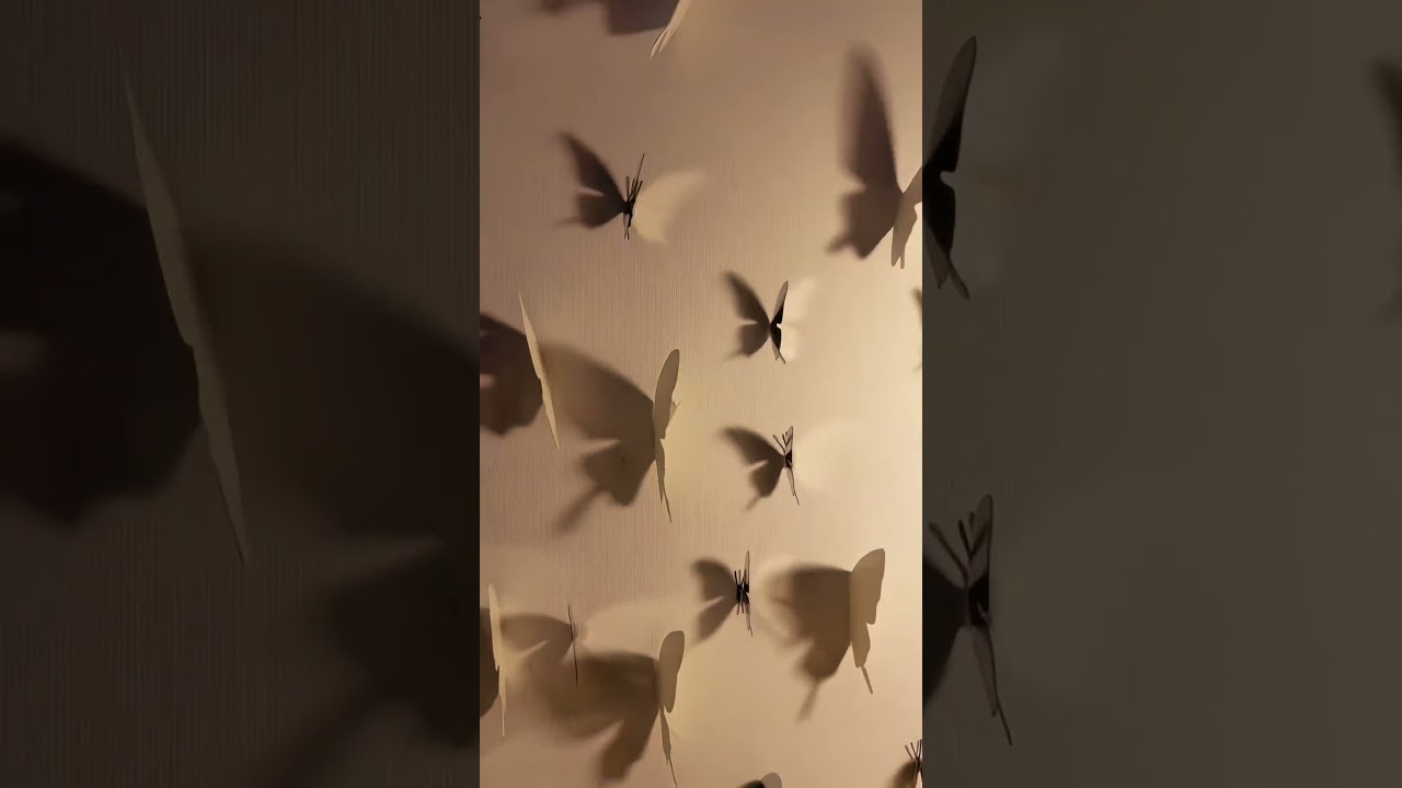 Light and Shadow Butterfly is only shared with people who are not perfunctory 