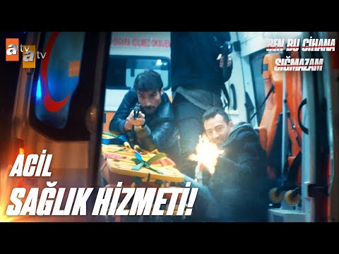 Cezayir'den not var!