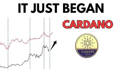 Crazy ALGORAND ALERT || Algorand Analysis & Price Prediction