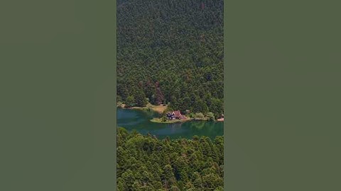 سورة الحديد _الآية 12...#قرآن #ذكر #آيات #اكسبلور #explore #quran