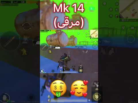 Видео: جلدة حلوه + MK14 مرقى 