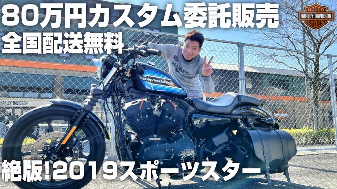 スポーツスター アイアン1200 2020年式 XL1200NS ハーレー カスタム 