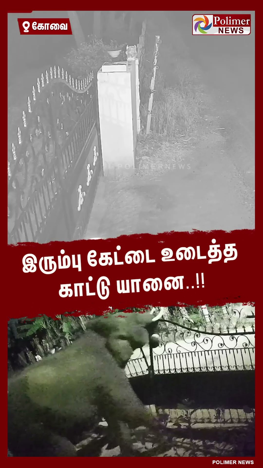 இரும்பு கேட்டை உடைத்து மலைப்பகுதிக்கு சென்ற காட்டு யானை..!! #shorts
