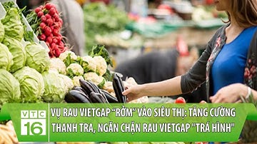 Vụ rau VietGAP “rởm” vào siêu thị: Tăng cường thanh tra, ngăn chặn rau VietGAP "trá hình" | VTC16