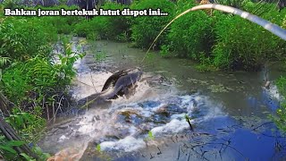 Kalau tak mancing sendiri , . sayapun tak percaya..😰😰 ..