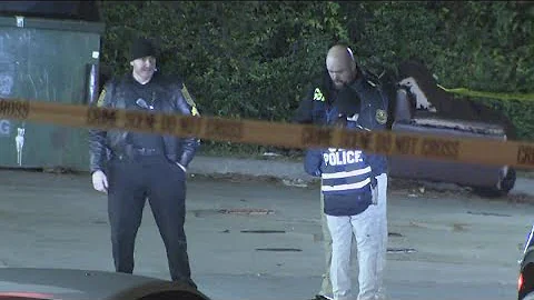 Lyft driver shot, killed near DeKalb County gas st...