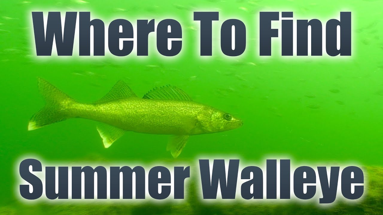 Where To Find Summer Walleyes