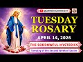 Today Holy Rosary 💜 Tuesday, April 14, 2026 💜 Sorrowful Mystery of the Rosary