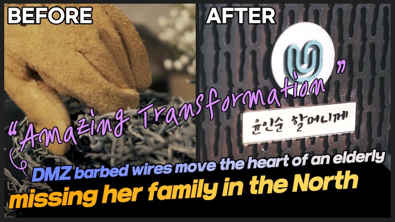 Amazing Transformation–Dmz Barbed Wires Move The Heart Of An Elderly Missing Her Family In The North