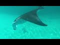 Maldives snorkeling on Gangehi island - 4K