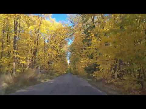 Romania in 30 sec.: Autumn Road, Dambovita County, October 2022