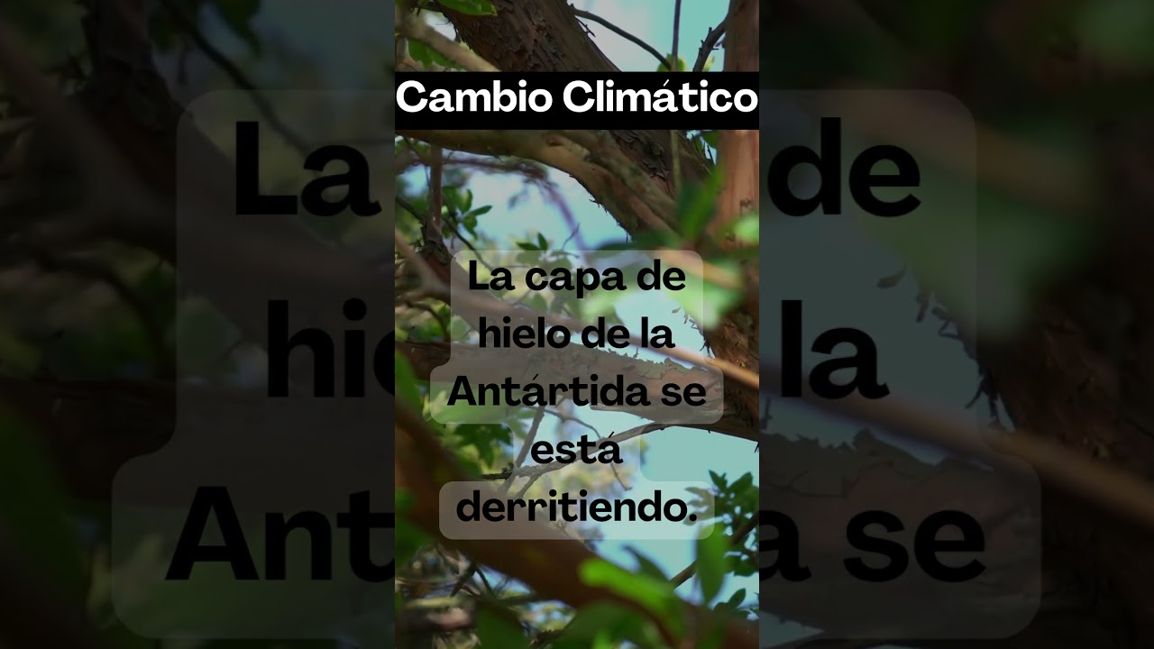 Cambio Climático 