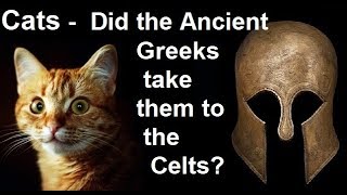 Cats - Did Ancient Greeks take Cats to the Celts? - Massalian Trade Contacts