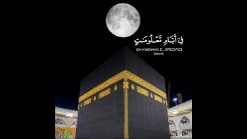 تلاوة هادئة تريح الاعصاب 🎧 حالات واتس اب ❤️