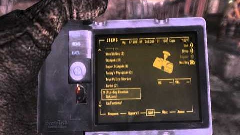 Fallout New Vegas - Pipboy Readius