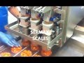 Sermax scales  linear belt weigher for fresh and sticky products   pesadora para salmon topping