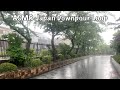 Asmr looped japan downpour rain 20210623 ambient sound sleep meditate relax tokyo suburb zen