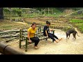 How to Make a Bamboo Table and Chair Set, Life in the High Mountains
