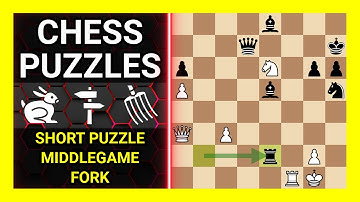 Chess Puzzles to Practice. Themes: Short puzzle, Middlegame, Fork. Learn Chess