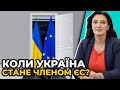 "Євросолідарність" РОБИТЬ ВСЕ, щоб ми отримали статус кандидата вже в червні / КЛИМПУШ-ЦИНЦАДЗЕ