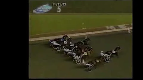 2003 Meadowlands FOREVER STARLET Dave Miller Breed...