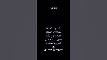 تلاوة مباركة من سورة يونس بصوت فضيلة الشيخ خالد الجليل