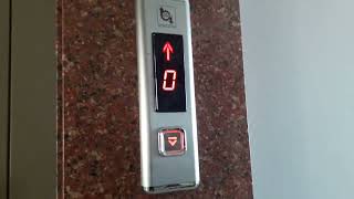 Zehra teyzemin asansörünü çektim. Dışardaki asansör bozuk. Onun katındaki zili gösterdim. Bursa