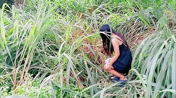 KOKAK BIKIN MULES PERUT VIRAL VIDEO