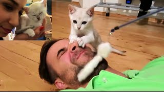 OUR NEW KITTENS FIRST DAY HOME | Throwback Special