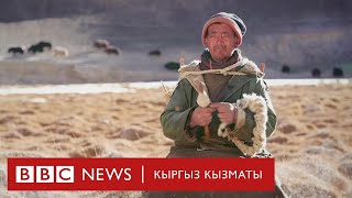 Гималай тоосундагы акыркы малчылар - BBC Kyrgyz