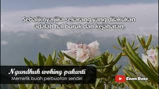 Story WA Jawa 30 detik - Ngundhuh Wohing Pakarti | WA Story 30sec Javanese - Get results own actions