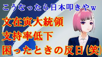 反日 Youtube
