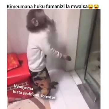 CHEKA NA MWAISA AKIFUMANIWA NA PISI YA MTU😂😂😂....#mwaisa #diamond #wasafi #vichekesho #videos #video