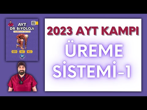 Üreme Sistemi-1 AYT Biyoloji Kampı Konu Anlatımı/ 11.Sınıf 2024 Tayfa