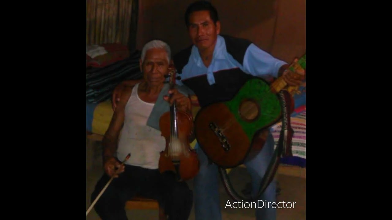 Sones de costumbre/ cañada de Colotla Pantepec puebla ( MIGUEL APARICIO) Vol.2