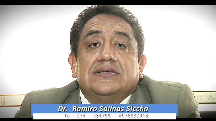 RAMIRO SALINAS